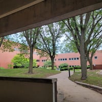 11041557