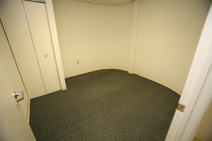12336196