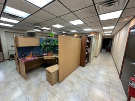 2946359