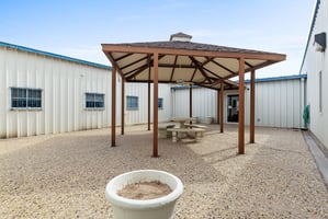 11247734