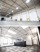 13786561