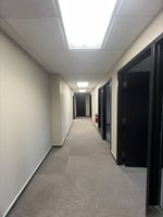 11404091