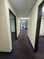 11421802