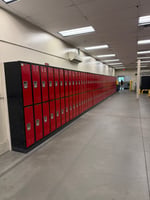 11546061