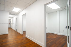 11556206