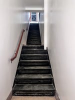 11809833