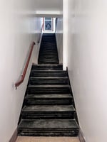 13694901