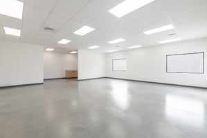 11594161