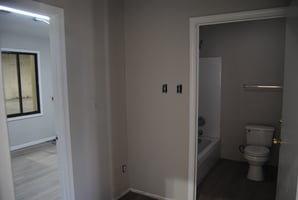 11594851