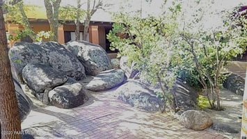 11597253