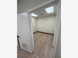 11610338