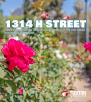 13639815