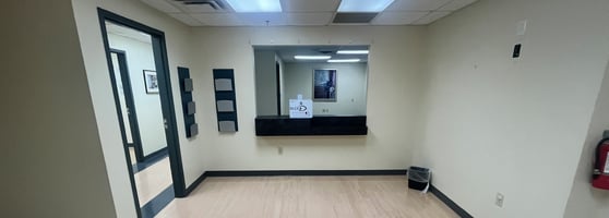 11648381