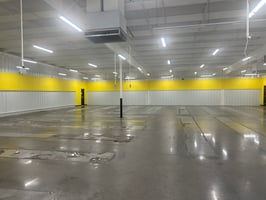 11672925