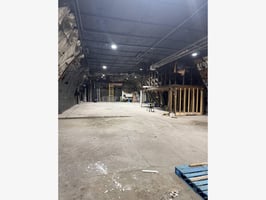11680081