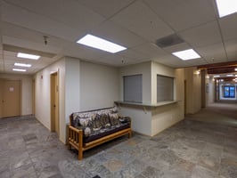 11684398