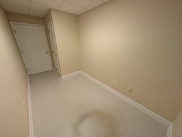 13203938