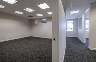 7259382