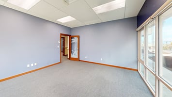 3137356