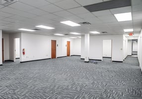 11902545