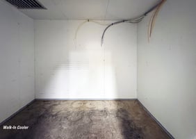 11905285