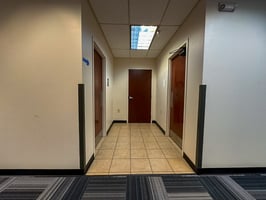 3162978