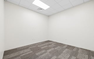 13804137