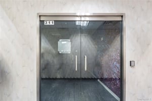 11961748