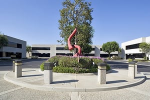 11996972