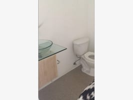 12095547