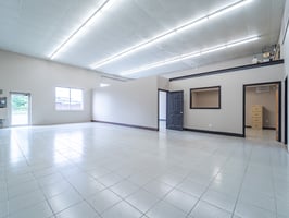 12261545