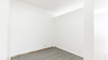 12262523