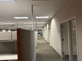 12306804