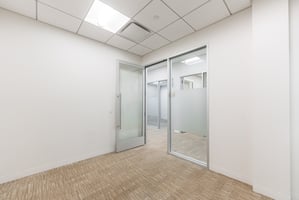 12449081