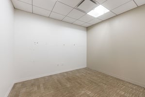 12449061