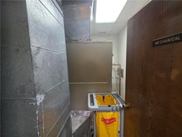 12445384