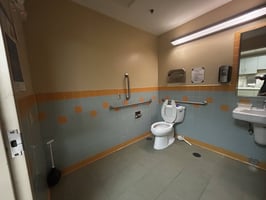 3607481