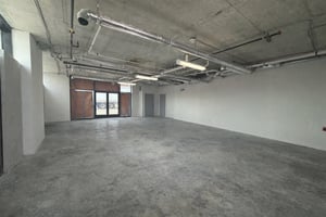 12555054