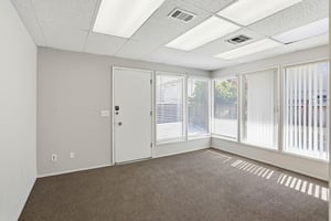 12526206