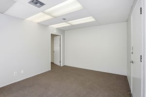 12526203
