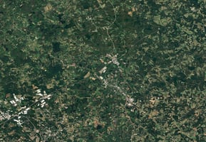 12502677