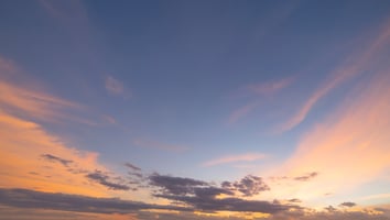 13598964