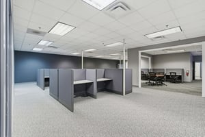 12554901