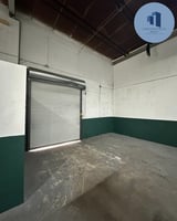 10205261