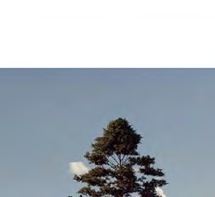 12848603