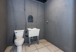 12945323