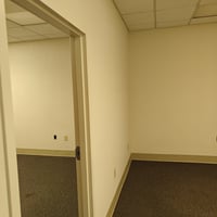 13705561