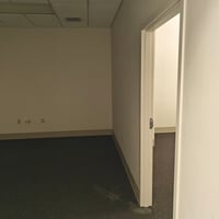 13705559