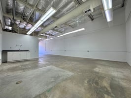 13005695