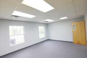13064081